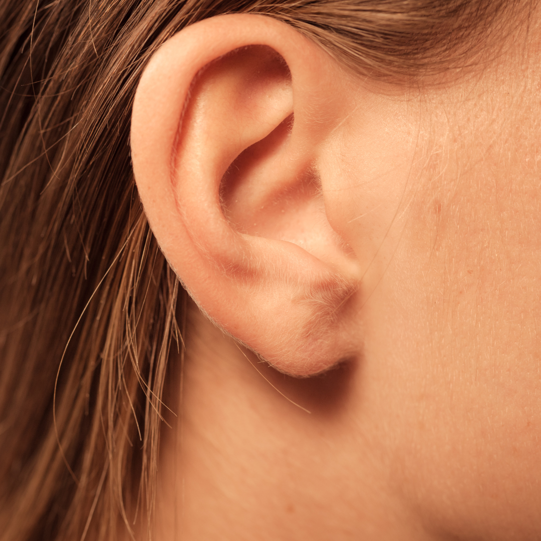 Ears