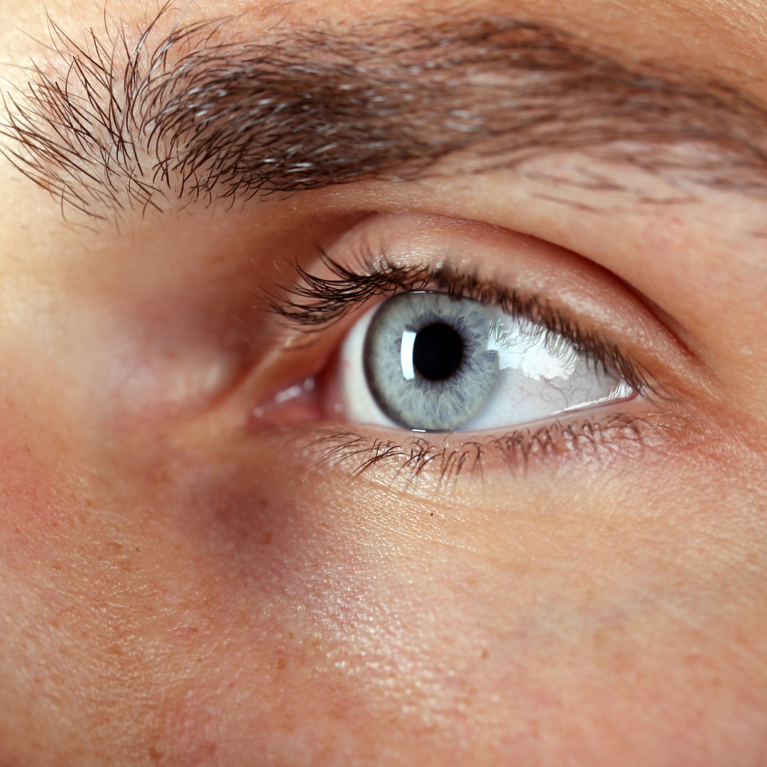 Midbrow